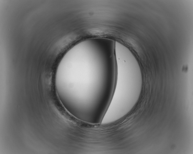 X0000089720404200706210858