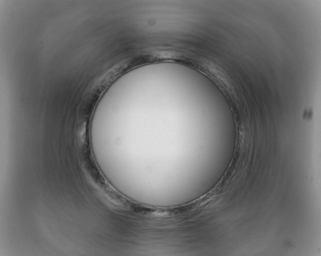 X0000089720406200706210858
