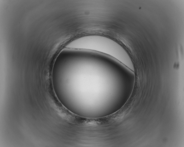 X0000089720407200706210858