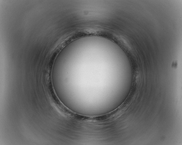 X0000089720408200706210858