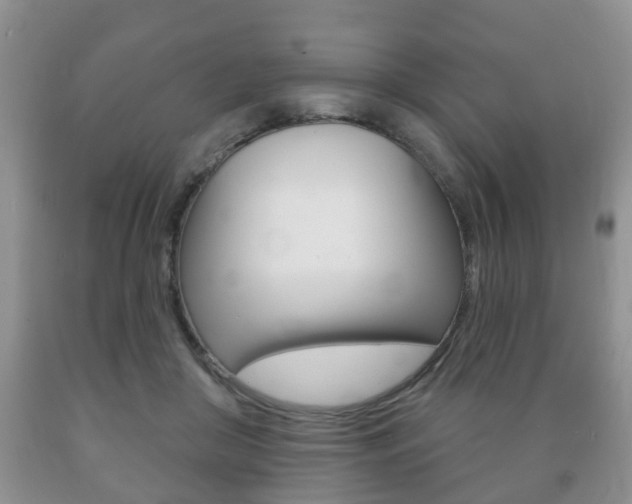 X0000089720410200706210858