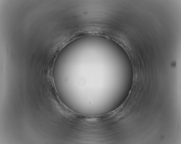 X0000089720411200706210858