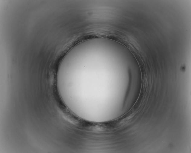 X0000089720412200706210858