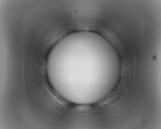 X0000089720414200706210858