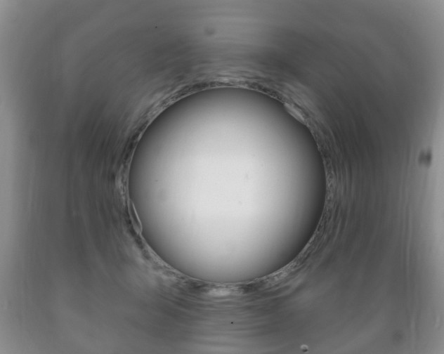 X0000089720415200706210858
