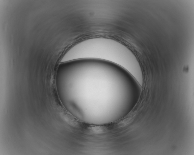 X0000089720417200706210858