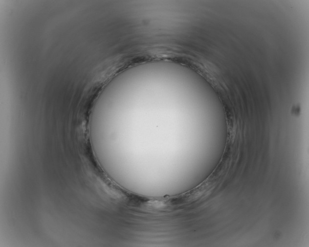 X0000089720418200706210858