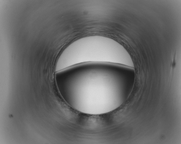 X0000089720420200706210858