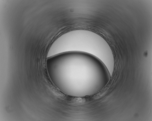 X0000089720421200706210858