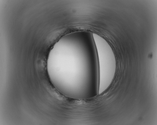 X0000089720424200706210858