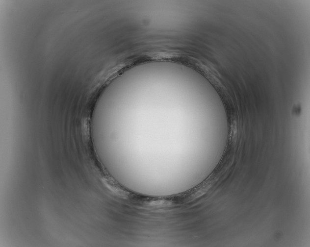 X0000089720426200706210858