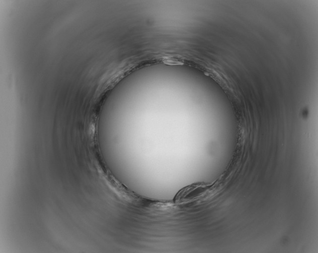 X0000089720427200706210858