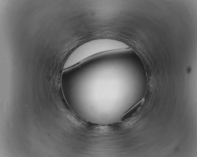 X0000089720428200706210858