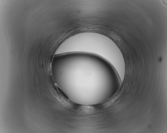X0000089720429200706210858