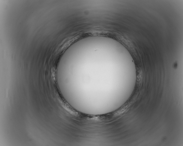 X0000089720430200706210858