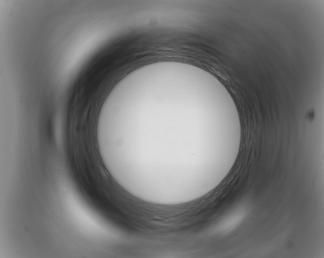 X0000089720431200706210858