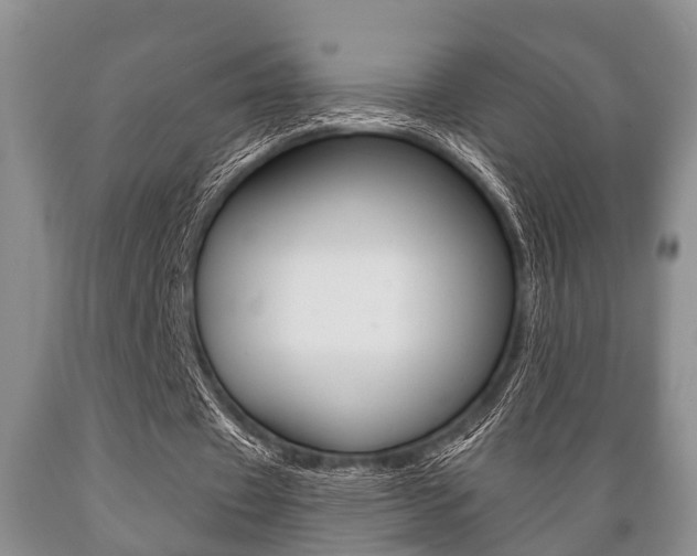 X0000089720433200706210857
