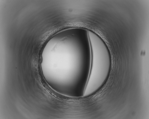 X0000089720434200706210857