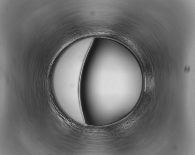 X0000089720435200706210857