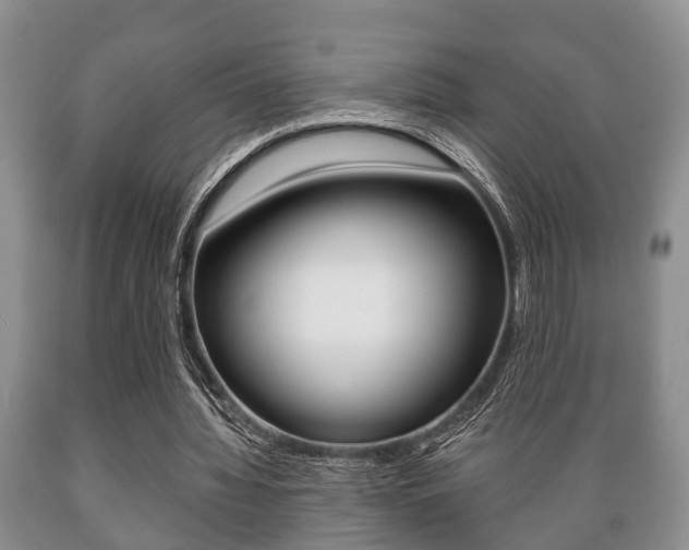 X0000089720436200706210857