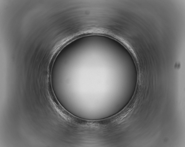 X0000089720437200706210857