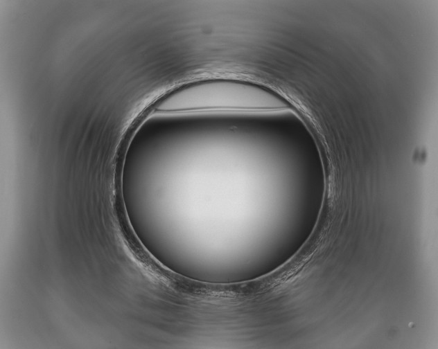 X0000089720438200706210857