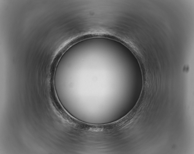 X0000089720440200706210857