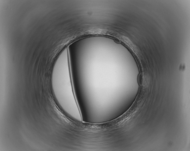 X0000089720441200706210857