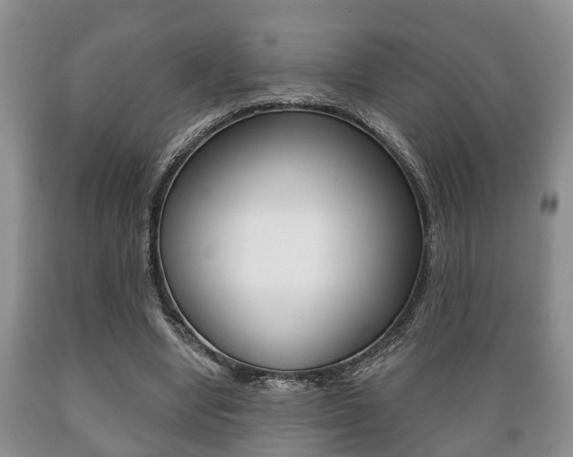 X0000089720442200706210857