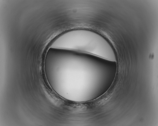 X0000089720443200706210857