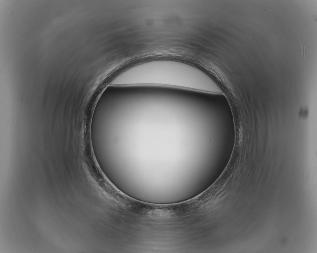 X0000089720444200706210857