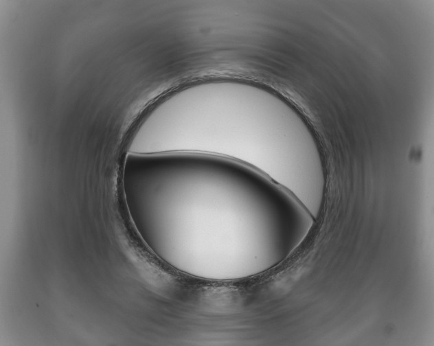X0000089720446200706210857