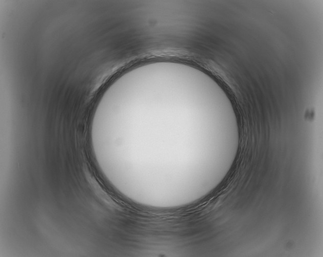 X0000089720448200706210857