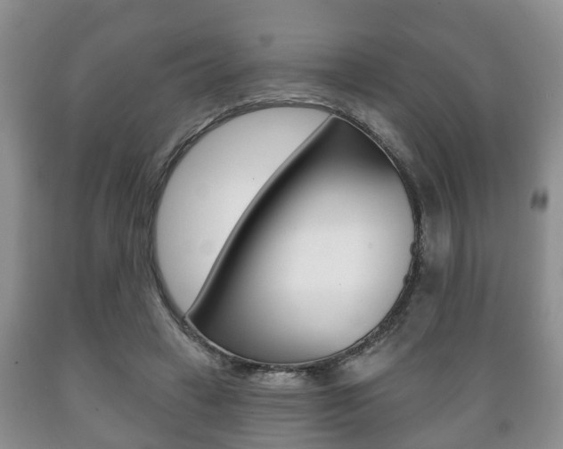 X0000089720449200706210857