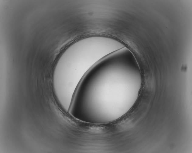 X0000089720450200706210857