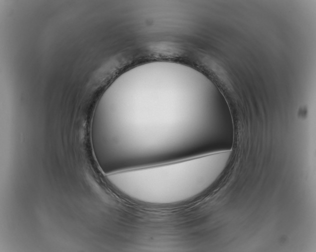X0000089720451200706210857