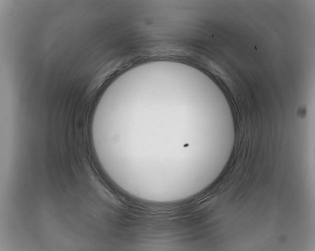 X0000089720452200706210857