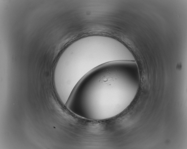 X0000089720454200706210858