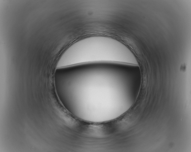 X0000089720457200706210858