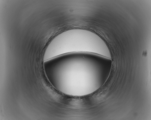 X0000089720458200706210858