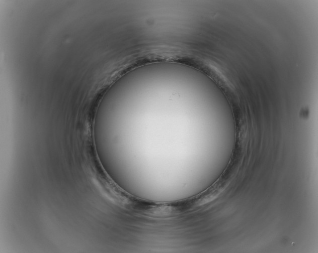 X0000089720459200706210858