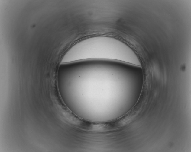 X0000089720461200706210858