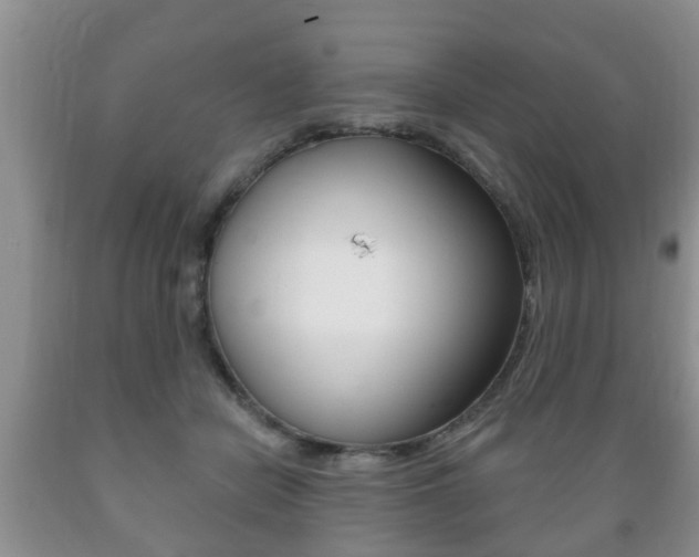 X0000089720462200706210858