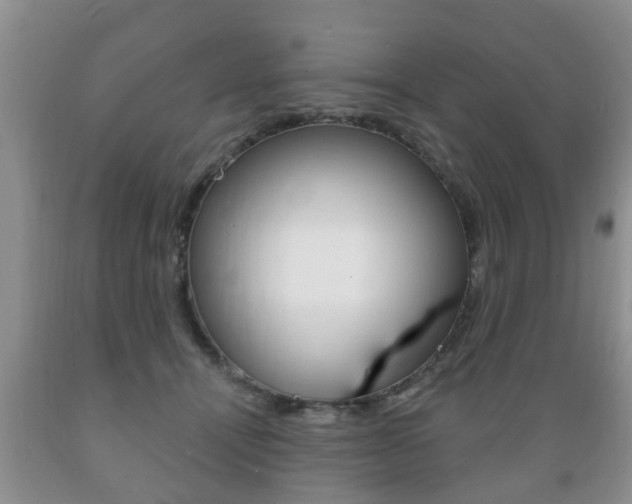 X0000089720464200706210858