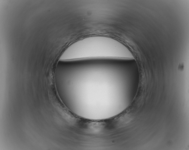 X0000089720465200706210858