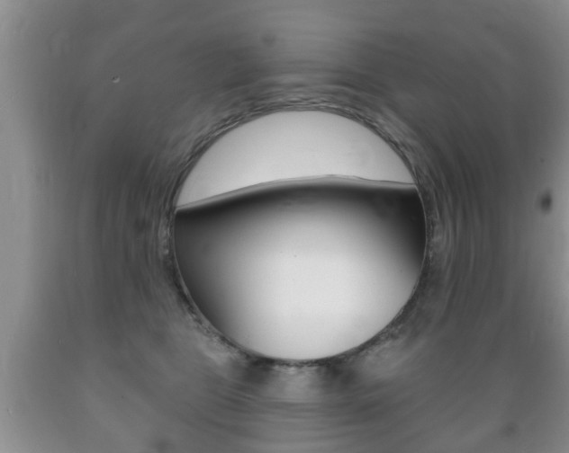 X0000089720469200706210858