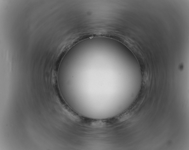 X0000089720470200706210858