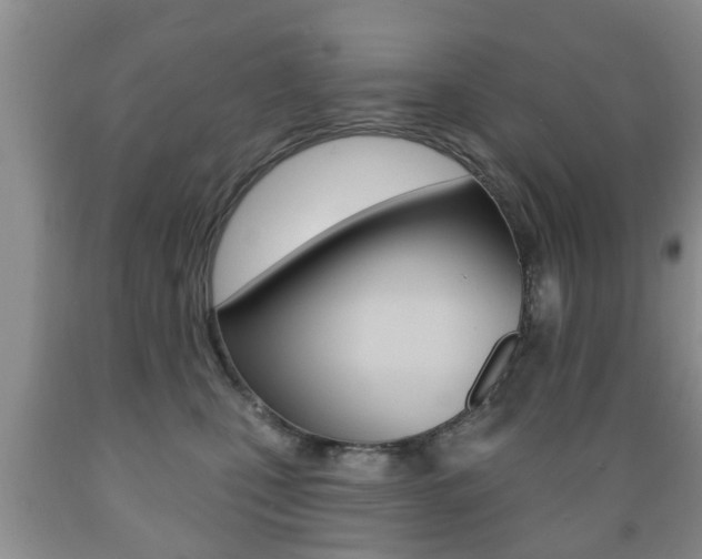 X0000089720471200706210858