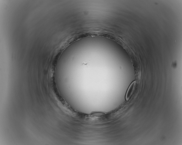 X0000089720472200706210858