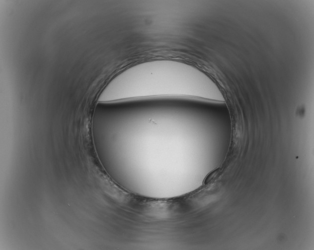 X0000089720473200706210858